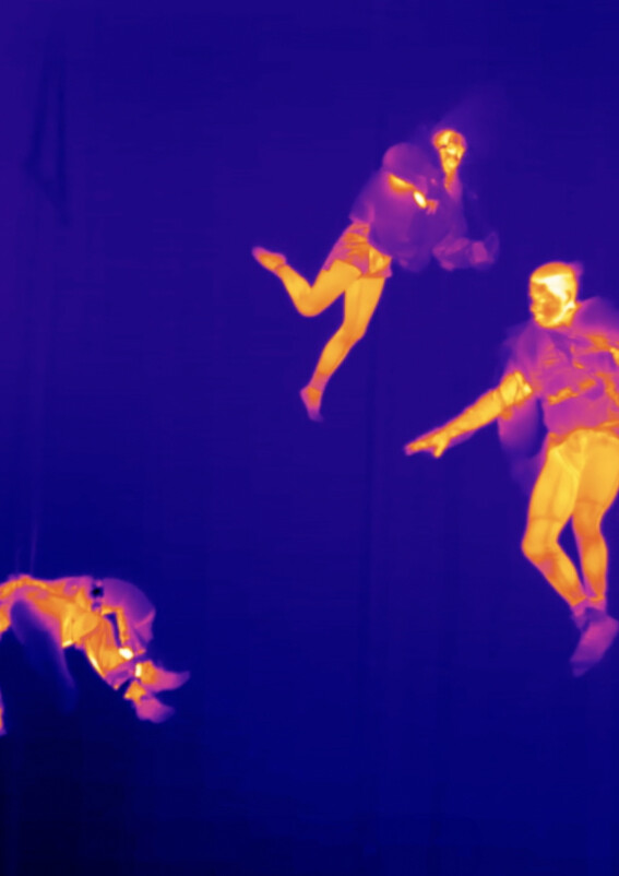 Laure Prouvost: WE FELT A STAR DYING